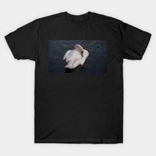 Swan Preening T-Shirt